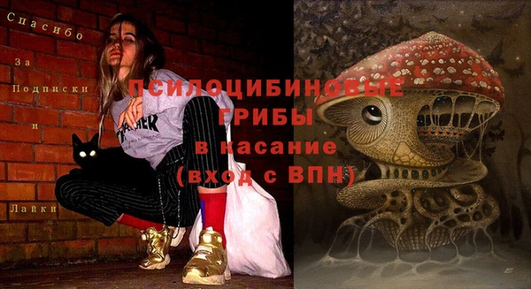 spice Алзамай