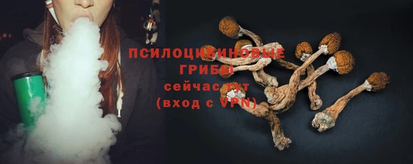 spice Алзамай