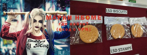 молекула духа Алексин